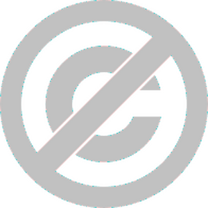 PD-icon.svg
