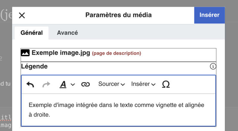 Fichier:Ajouter une légende à une image.png
